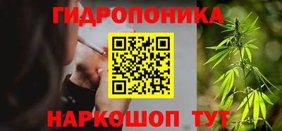 индика Ипатово