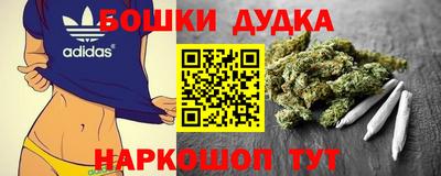 индика Ипатово
