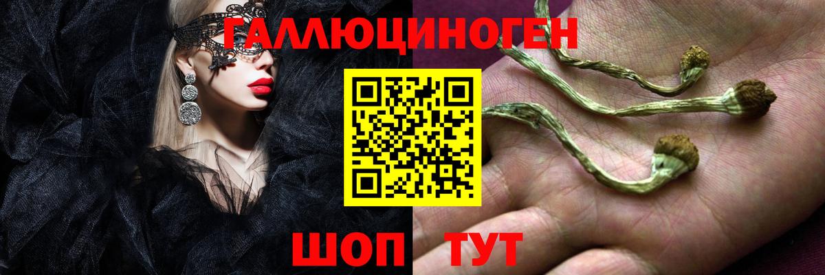 Псилоцибиновые грибы прущие грибы  Вход с VPN  купить  цена  Галлюциногенные грибы MAGIC MUSHROOMS  Красноуфимск 